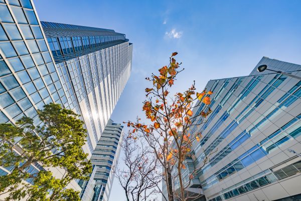 Commercial Property Appraisal in Arroyo Grande