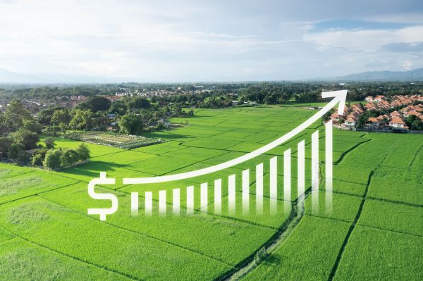 Agricultural Appraisal Service